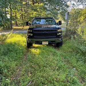 Meet your Posher, George